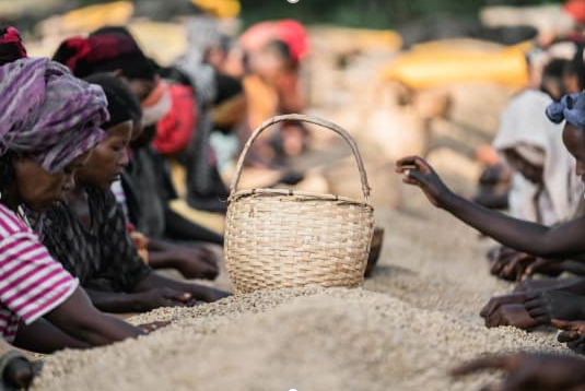 Ethiopia Yirgacheffe